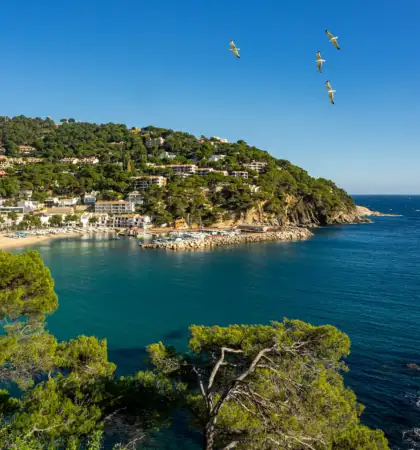 alquiler de catamaran costa brava 2
