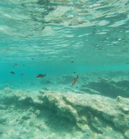 alquiler de catamaran formentera 6