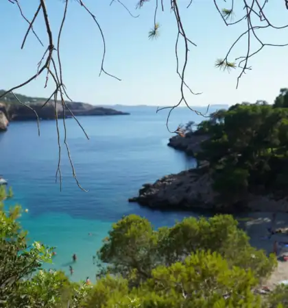 alquiler de catamaran ibiza 1