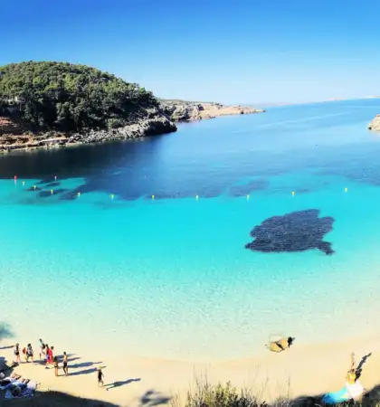 alquiler de catamaran ibiza 2