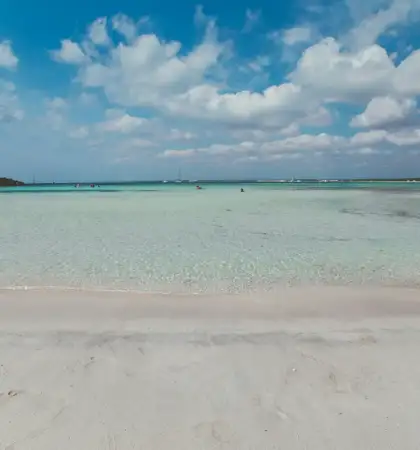 alquiler de catamaran mallorca 6