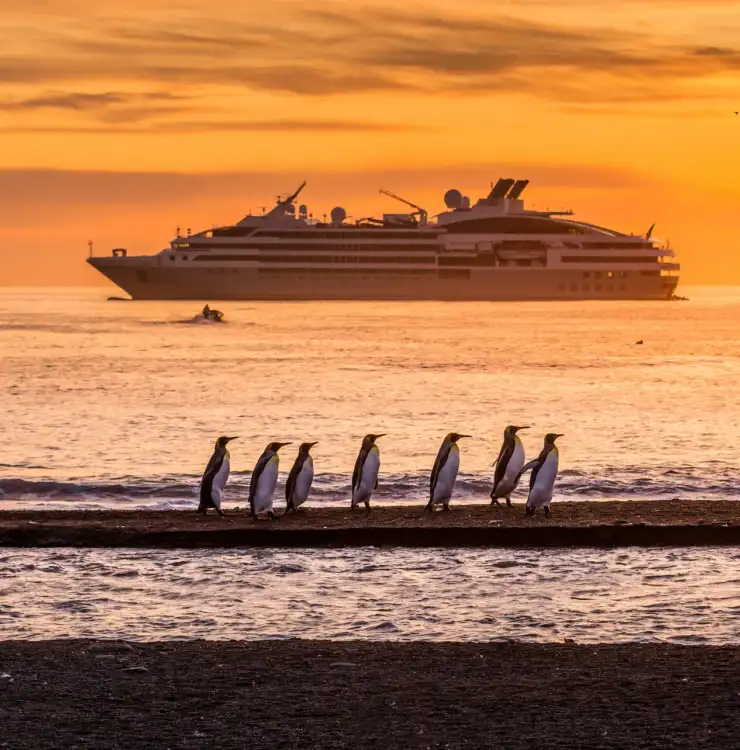 Antártida, el continente blanco