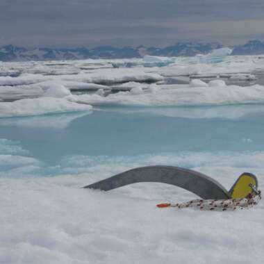 DSC00342 - copie DSC00342 - copie